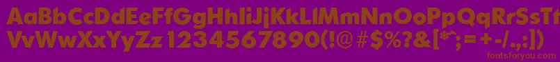 OrnitonsserialXboldRegular Font – Brown Fonts on Purple Background