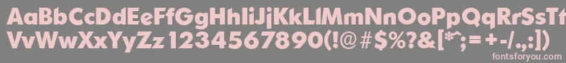 OrnitonsserialXboldRegular Font – Pink Fonts on Gray Background