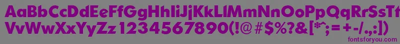 OrnitonsserialXboldRegular-fontti – violetit fontit harmaalla taustalla