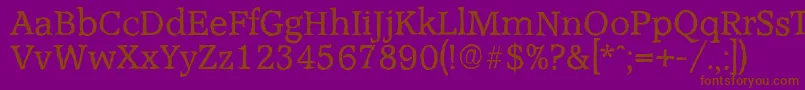 AccoladeantiqueRegular Font – Brown Fonts on Purple Background