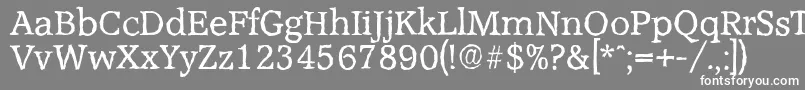 AccoladeantiqueRegular Font – White Fonts on Gray Background