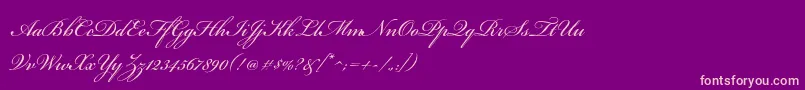 BickhamscriptproRegular-fontti – vaaleanpunaiset fontit violetilla taustalla