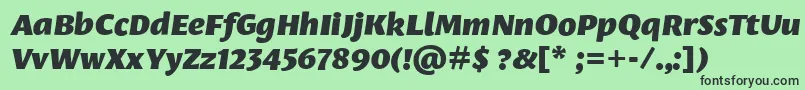 LeksasansproBlackItalic Font – Black Fonts on Green Background