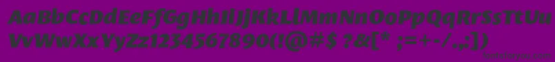 LeksasansproBlackItalic Font – Black Fonts on Purple Background