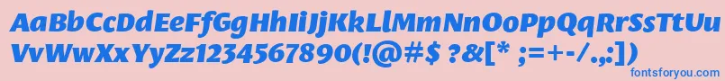 LeksasansproBlackItalic Font – Blue Fonts on Pink Background