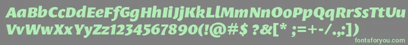 LeksasansproBlackItalic Font – Green Fonts on Gray Background