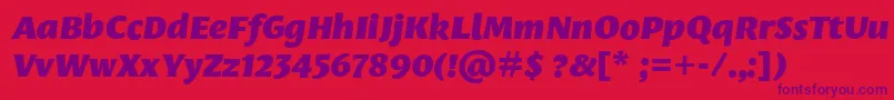 LeksasansproBlackItalic Font – Purple Fonts on Red Background