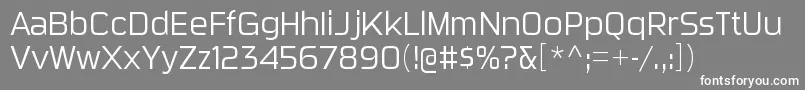 フォントSuigeneriscdltRegular – 灰色の背景に白い文字