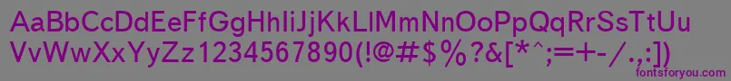 Шрифт Textbookc – фиолетовые шрифты на сером фоне