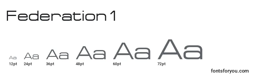 Federation1 Font Sizes