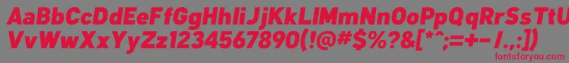 KlimaBlackItalic Font – Red Fonts on Gray Background