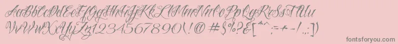 VtcNuetattooscript Font – Gray Fonts on Pink Background