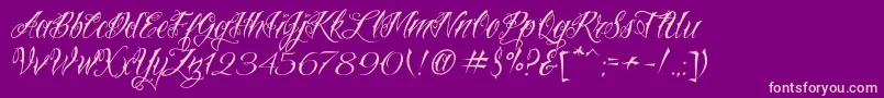 VtcNuetattooscript-Schriftart – Rosa Schriften auf violettem Hintergrund