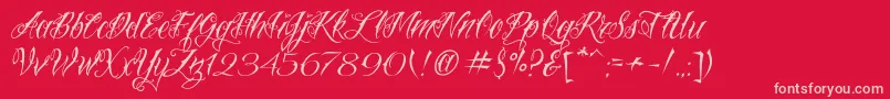 VtcNuetattooscript Font – Pink Fonts on Red Background