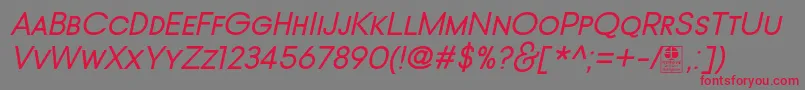 TypoGotikaSmallCapsItalicDemo-Schriftart – Rote Schriften auf grauem Hintergrund
