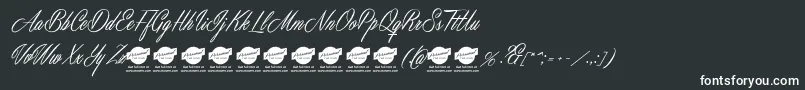 MastericsPersonalUse Font – White Fonts