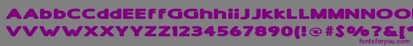 ShamExtraBold Font – Purple Fonts on Gray Background