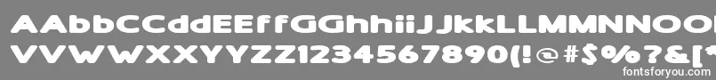 フォントShamExtraBold – 灰色の背景に白い文字