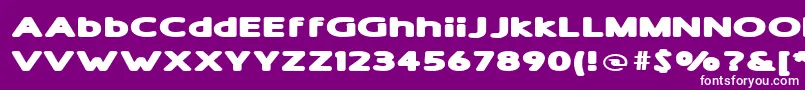 ShamExtraBold Font – White Fonts on Purple Background