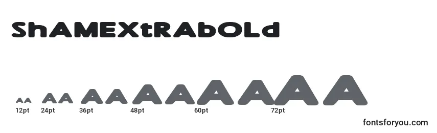 ShamExtraBold Font Sizes