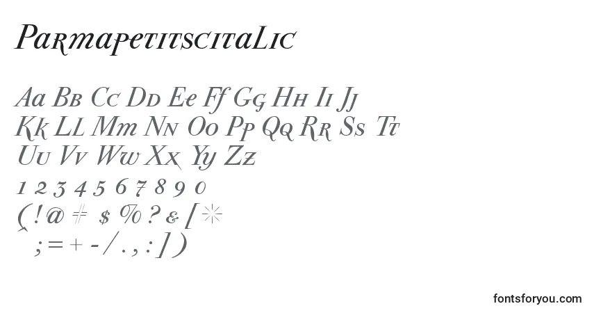 characters of parmapetitscitalic font, letter of parmapetitscitalic font, alphabet of  parmapetitscitalic font