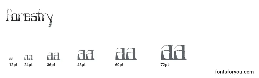 Forestry Font Sizes
