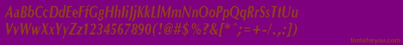 OptanecompactBoldItalic Font – Brown Fonts on Purple Background