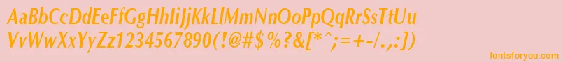 OptanecompactBoldItalic Font – Orange Fonts on Pink Background