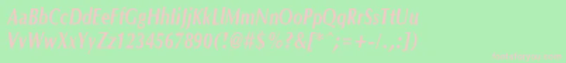 OptanecompactBoldItalic Font – Pink Fonts on Green Background