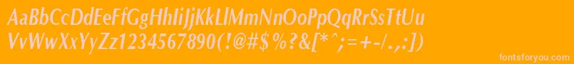 OptanecompactBoldItalic Font – Pink Fonts on Orange Background