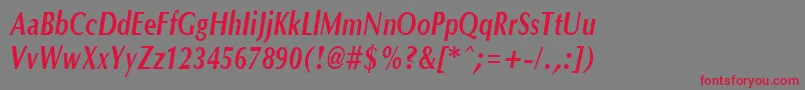 フォントOptanecompactBoldItalic – 赤い文字の灰色の背景