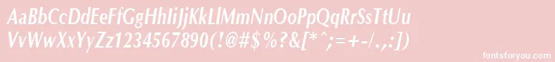 OptanecompactBoldItalic Font – White Fonts on Pink Background