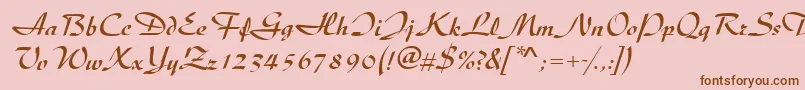 DiscipleRegular Font – Brown Fonts on Pink Background