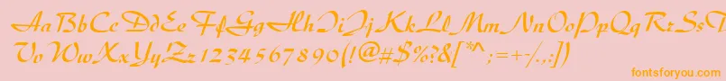 DiscipleRegular Font – Orange Fonts on Pink Background