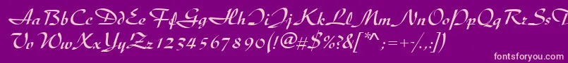 DiscipleRegular Font – Pink Fonts on Purple Background
