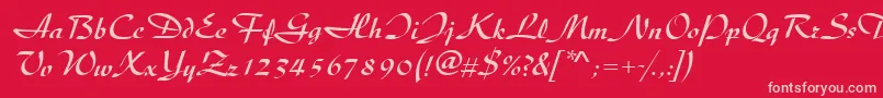 DiscipleRegular Font – Pink Fonts on Red Background