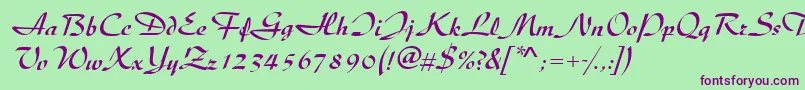 DiscipleRegular Font – Purple Fonts on Green Background