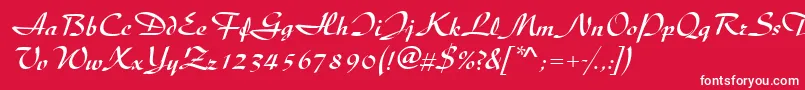 DiscipleRegular Font – White Fonts on Red Background