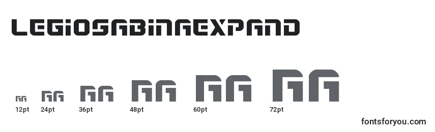 Размеры шрифта Legiosabinaexpand