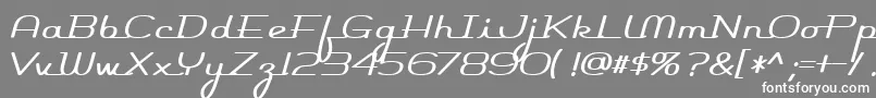 フォントRocketscript – 灰色の背景に白い文字