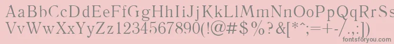 LiteraturnayaPlain-Schriftart – Graue Schriften auf rosa Hintergrund