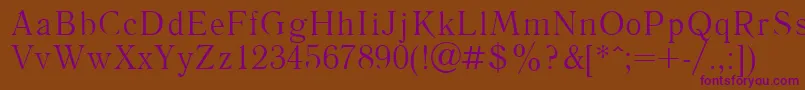 LiteraturnayaPlain Font – Purple Fonts on Brown Background