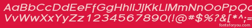 Florsn15 Font – Pink Fonts on Red Background