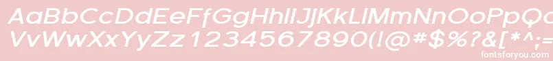 Florsn15 Font – White Fonts on Pink Background