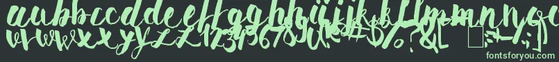 PomahType Font – Green Fonts on Black Background