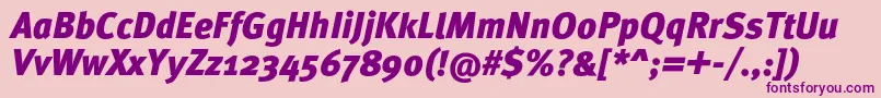 MetaproBlackitalic Font – Purple Fonts on Pink Background