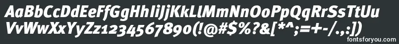 フォントMetaproBlackitalic – 白い文字