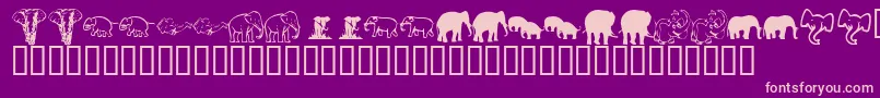 fuente KrRachelsElephants – Fuentes Rosadas Sobre Fondo Morado