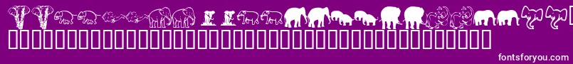 KrRachelsElephants-Schriftart – Weiße Schriften auf violettem Hintergrund