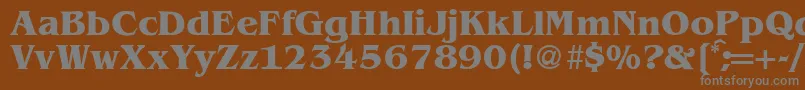 フォントBenjaminserifBold – 茶色の背景に灰色の文字